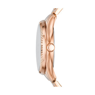 Angle shot of Fossil BQ3691 Womens Watch on white background