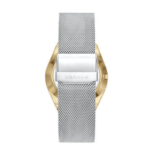 Angle shot of Skagen Grenen SKW6816 Womens Watch on white background