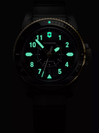 Angle shot of Victorinox 242014 Black Unisex Watch on white background